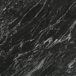 Forest Black